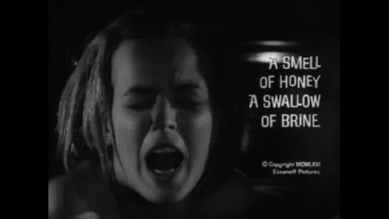 A Smell of Honey, a Swallow of Brine (1966, USA, dir. Byron Mabe)