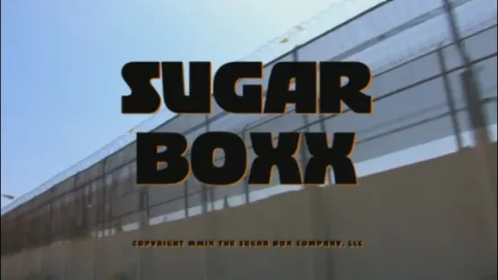 Sugar Boxx (2009, USA, dir. Cody Jarrett)