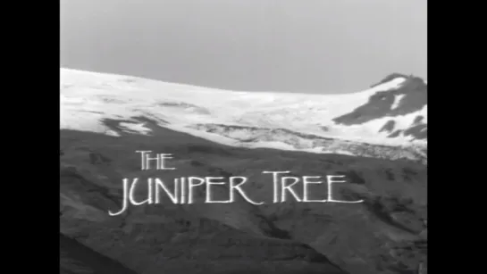 Можжевеловое дерево'1989 / Можжевельник / The Juniper Tree