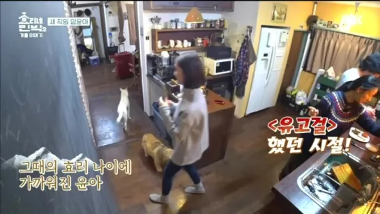 Hyori's Bed & Breakfast 2 180204