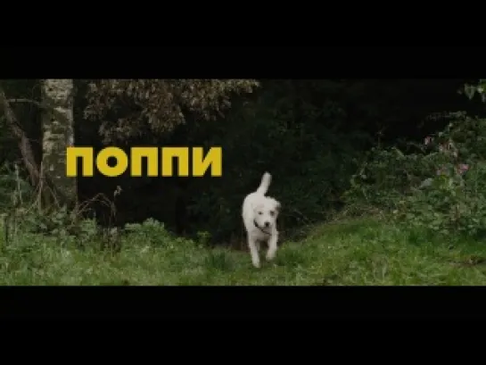 Sightseers (Раз! Два! Три! Умри!) трейлер (2012) Премьера 2013