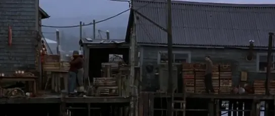 Правила виноделов / The Cider House Rules /1999/по роману Джона Ирвинга