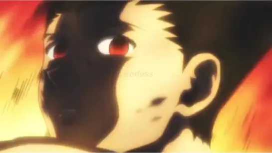 Hunter × Hunter | Anime vine