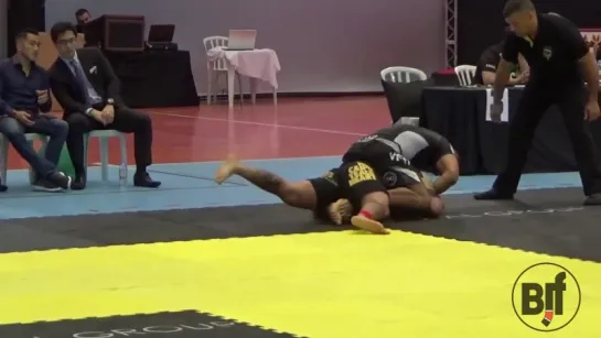 Rodolfo Vieira vs Xande Ribiero ADCC 2015