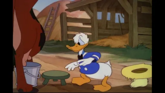 Donald en la Granja  1941 x  6