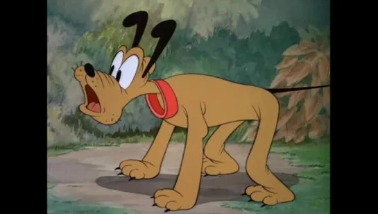 Lavadora de Perro de Donald  1940 x  2