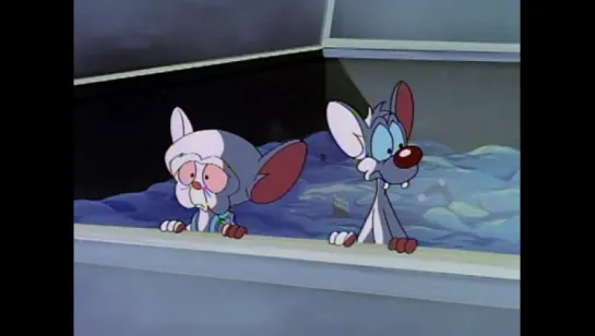 Pinky y  Cerebro - A Pinky And The Brain Christmas