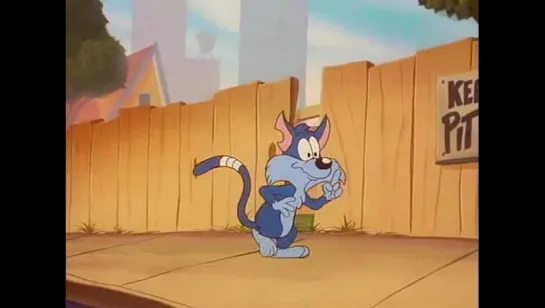 Tiny Toon Capitulo 38