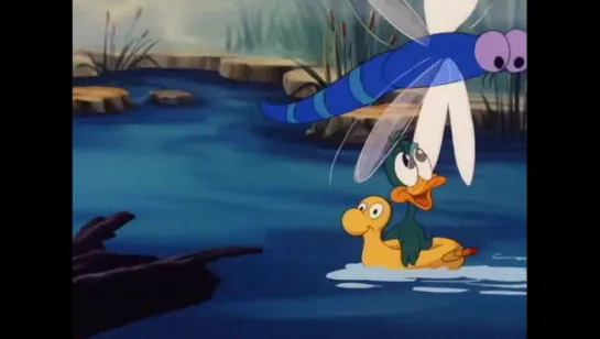 Tiny Toon Capitulo 36