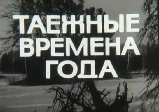 Таёжные времена года (1970) Пермское телевидение