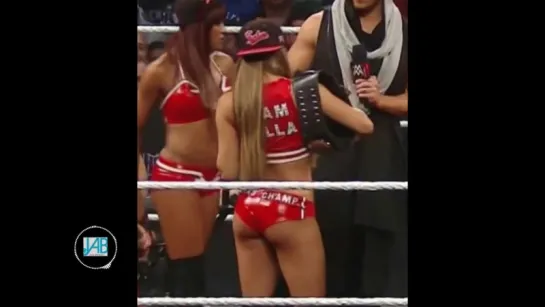 WWE Diva Nikki Bella Hot Compilation