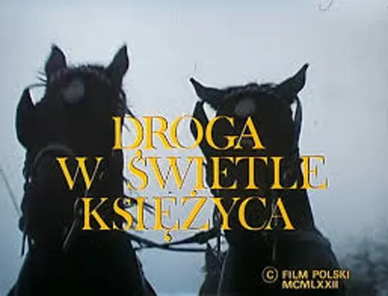 Дорога в лунном свете _ Droga w świetle księżyca (1972) Польша