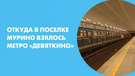 Откуда в поселке Мурино взялось метро «Девяткино»