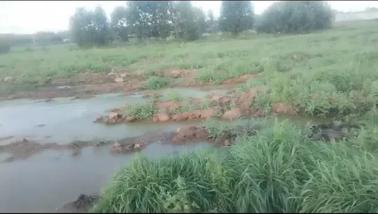 Видео от Галины Пищухиной