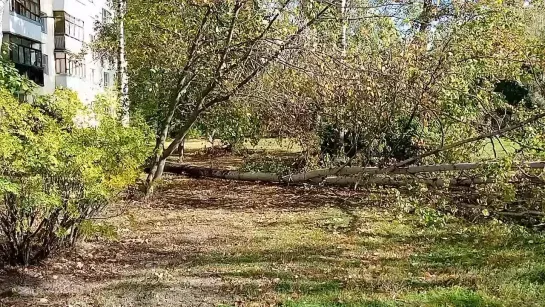 Видео от Ярослава Шульжинского