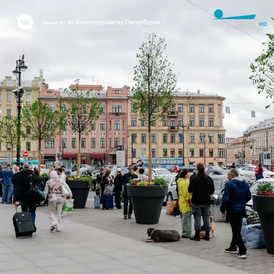 Видео от Телеканал «Санкт-Петербург»