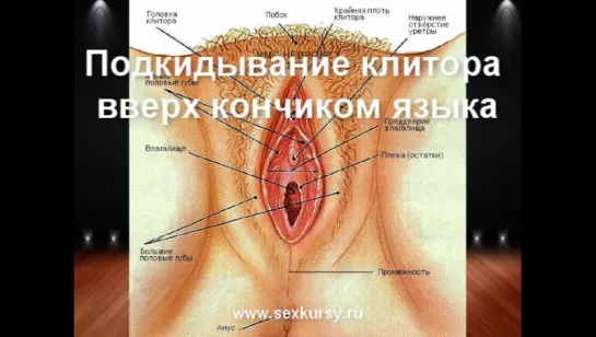 как делать куни - Клиторальный оргазм