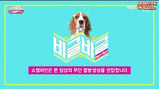 [RUS.SUB|VK][07.10.2015] Beagle Beagle Show Champion