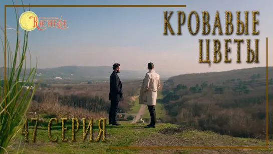 Турецкий сериал Кровавые цветы / Kan Cicekleri - 47 серия (русская озвучка)