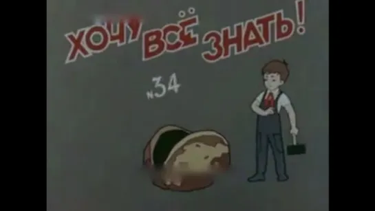 ☭☭☭ Киножурнал «Хочу все знать» №034 (1963) ☭☭☭