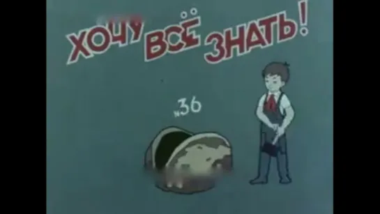 ☭☭☭ Киножурнал «Хочу все знать» №036 (1964) ☭☭☭