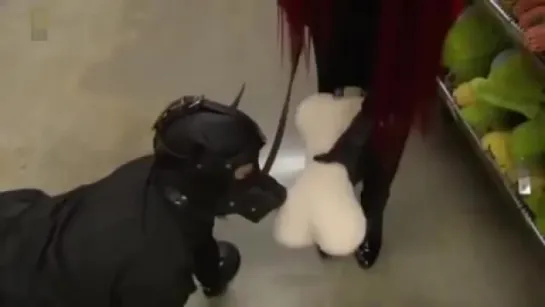 Tyke Puppy (Puppy Play Fetish)