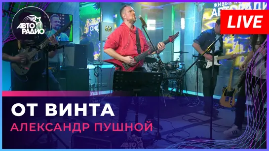 Александр Пушной - От Винта ("Смешарики" cover) LIVE @ Авторадио