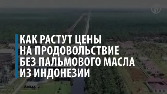 Как растут цены на продовольствие без пальмового масла из Индонезии