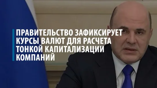 Мишустин предложил зафиксировать курс валюты для расчета тонкой капитализации компаний