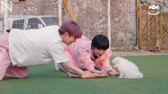 [Рус.саб][26.07.2019][Monsta X’s Puppy Day with TWOTUCKGOM] Making Film – Ep.5/6