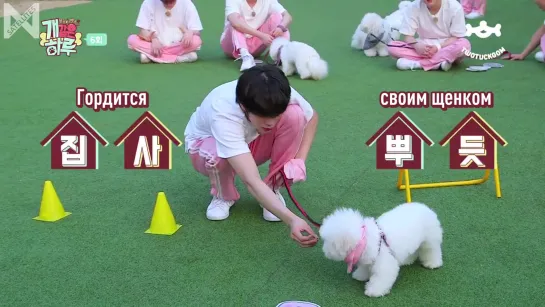 [Рус.саб][25.07.2019][Monsta X’s Puppy Day] Ep.6