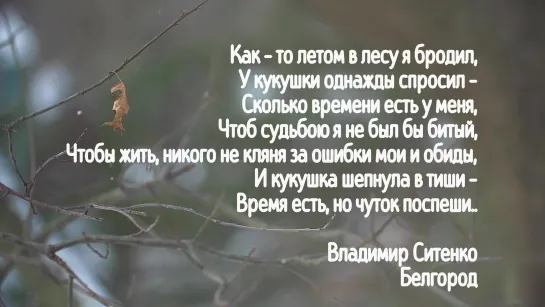 Владимир Ситенко ( Белгород ) - Как - то летом в лесу я бродил ( читает автор )