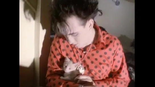 The Cure - The Love Cats