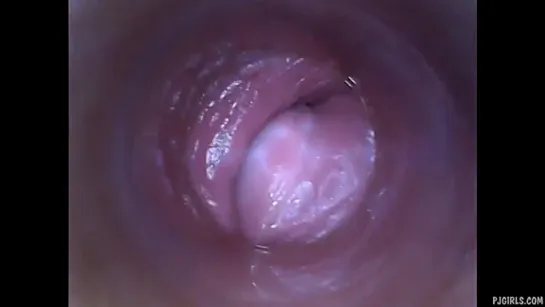 inside pussy pov sex cam