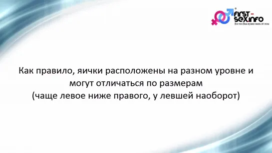 Урок №8. Мужская половая система. Строение и особенности