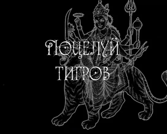 Поцелуй тигров