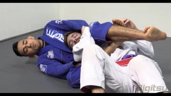 10 EDWIN NAJMI BACK TAKES - Inverted Triangle