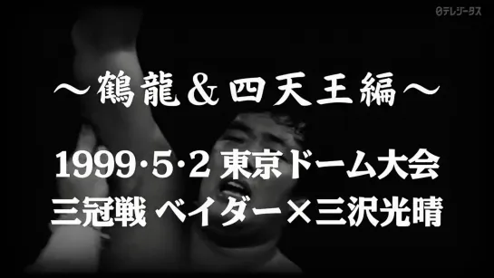 Memories of The Fierce Battle of Pro Wrestling- Tsuruyu & 4 Pillars #6: (02.05.1999) AJPW Giant Baba Retirement Show