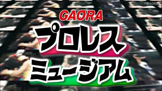 GAORA Puroresu Museum #1: (22.03.2003) AJPW Champion Carnival 2003- Tag 1