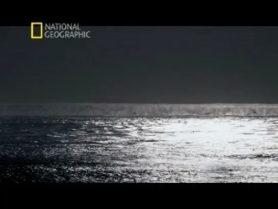 National Geographic: Титаник. Дело закрыто / National Geographic: Titanic. Case Closed (2012)