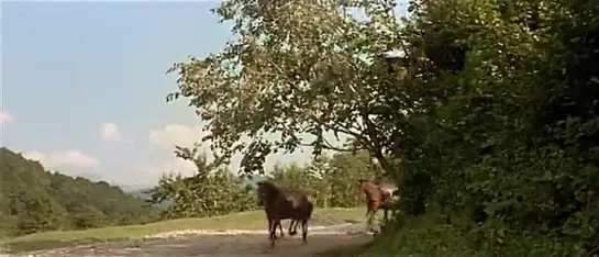 Семеро и стерва  / Sept hommes et une garce (1967)