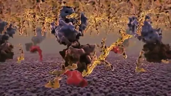 XVIVO Scientific Animation Demo Video.