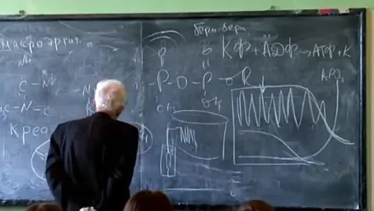 Лекция 7 Углеводы ч.1