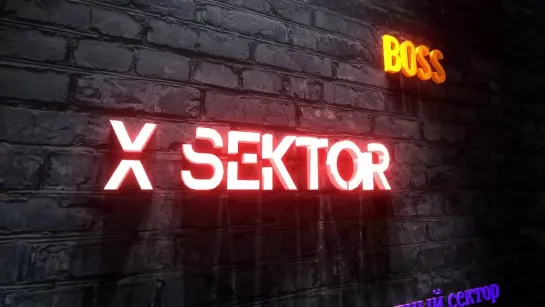 X SEKTOR BOSS