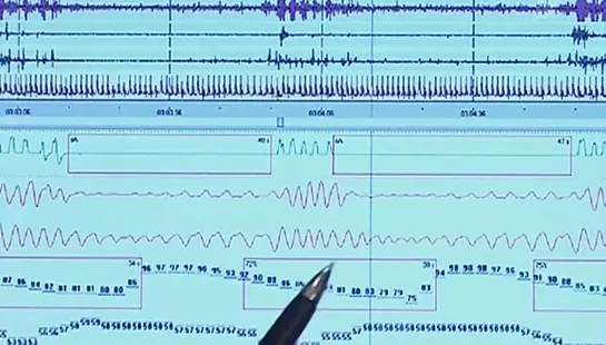 Четыре Мифа о Здоровом Образе Жизни