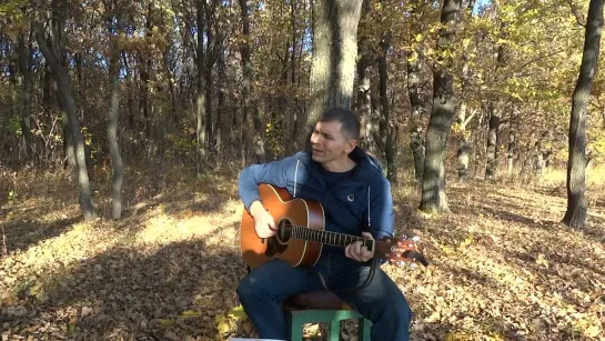 Анатолий Ефимов - Падал белый снег.