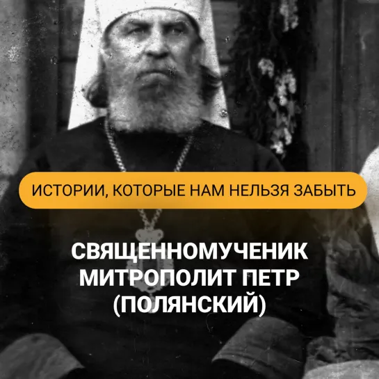 Истории, которые нам нельзя забыть. Митрополит Петр (Полянский)