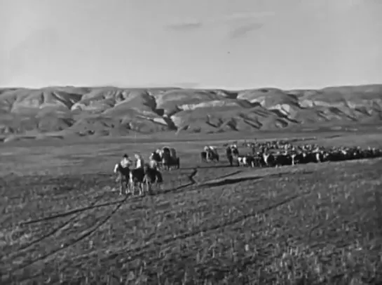 Большая паника / The Big Stampede (1932)