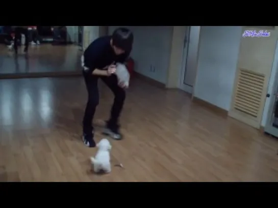 [RUS SUB] A-JAX SesameTV - Introducing Jaehyung's pet, Moongchi.