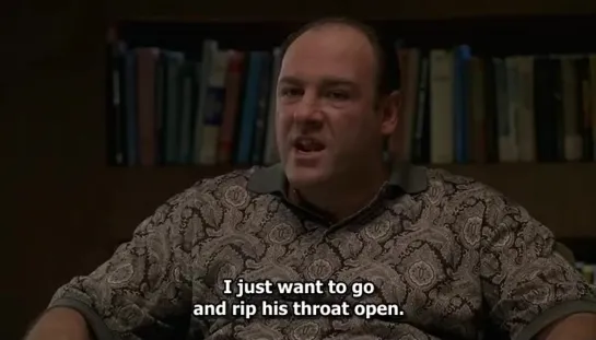 Why should I care if a guy`s had a clear head? The Sopranos / Сезон: 2